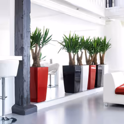 LECHUZA Cubico 40 Intérieure Jardinière Autonome Polypropylène (PP) Rouge - Vue supplémentaire 5