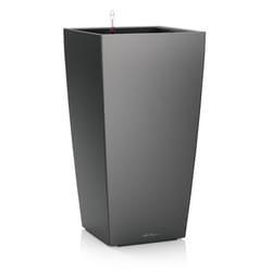 LECHUZA CUBICO 40 All-in-One Set Intérieure Kit de plantation en pot Autonome Polypropylène (PP) Métallique