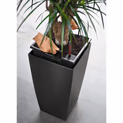 LECHUZA CUBICO 40 All-in-One Set Intérieure Kit de plantation en pot Autonome Polypropylène (PP) Noir