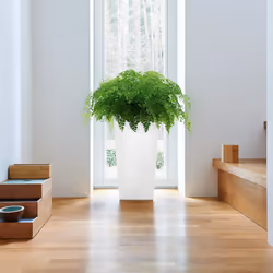 LECHUZA Cubico 22 Intérieure Table de jardinage Autonome Polypropylène (PP) Blanc - Vue supplémentaire 4