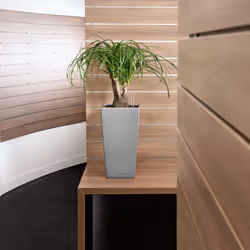 LECHUZA Cubico 22 Intérieure Table de jardinage Autonome Polypropylène (PP) Blanc - Vue supplémentaire 6