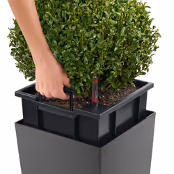 LECHUZA Cubico 22 Intérieure Table de jardinage Autonome Polypropylène (PP) Argent