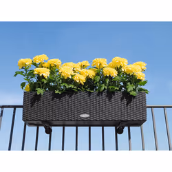 LECHUZA 19033 kit de support - Vue supplémentaire 5