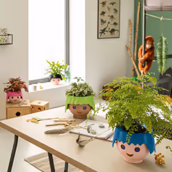 LECHUZA OJO Intérieure Table de jardinage Autonome Polypropylène (PP) Rose