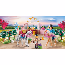 Playmobil Princesse avec chevaux et instructeur