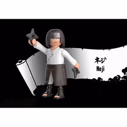 Playmobil 71222 jouet