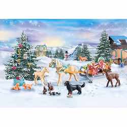 Playmobil 71345, Autonome, Multicolore