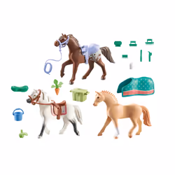 Playmobil 71356 jouet