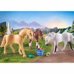 Playmobil 71356 jouet - Vue supplémentaire 4