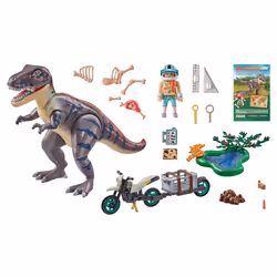 Playmobil Dinos 71524 jouet