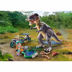 Playmobil Dinos 71524 jouet
