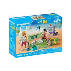 Playmobil 71753 jouet