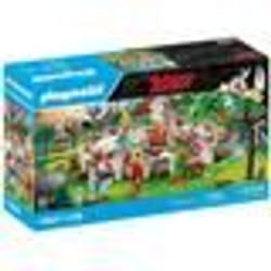 Playmobil Asterix 71827 jouet