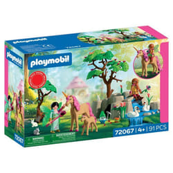 PLAYMOBIL 72067 Journée avec les fées Les fées Promo pack 91 pièces Dès 4 ans