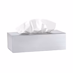 Blomus 66653, Acier inoxydable, Acier inoxydable, Table, 1 pièce(s), 120 mm, 240 mm