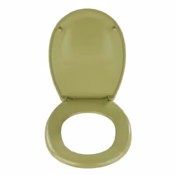 WENKO 19514100 Abattant rigide Duroplast Vert