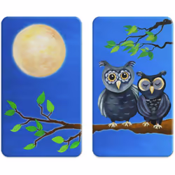 Faites la différence en apportant une touche de design ludique avec les jolies chouettes tout en protégeant votre plaque de c ...