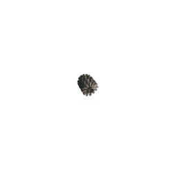 Wenko - brosse rechange noire alcamo