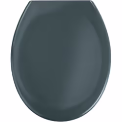 L'abattant WC premium gris foncé Ottana en duroplastique, aux finitions haut de gamme et au motif design, a un couvercle de f ...