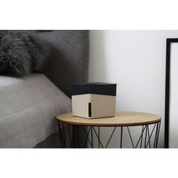 Déshumidificateur Cube Wenko 1000 g Beige sans électricité absorbeur d'humidité design pour maison et voiture jusqu'à 80 m³ 1000 g de calcium
