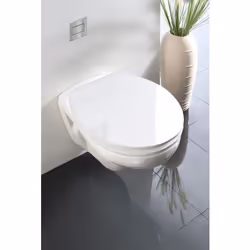 WENKO 21743100 siège de toilette Abattant rigide Acrylique, Duroplast Blanc