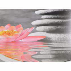 WENKO Water Lily Abattant rigide Thermoplastique Multicolore, Blanc