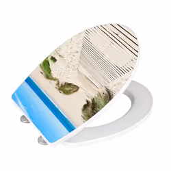 WENKO 21751100 siège de toilette Abattant rigide Acrylique, Duroplast Multicolore