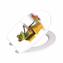 WENKO 21758100 siège de toilette Abattant rigide Acrylique, Duroplast Vert, Blanc, Jaune