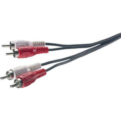SpeaKa Professional SP-1300364 câble audio 1,5 m 2 x RCA Noir, Rouge, Blanc