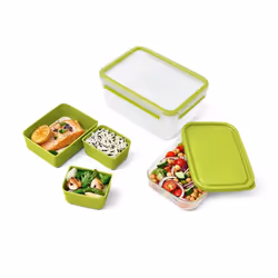 EMSA CLIP & GO XL Boîte de rangement alimentaire 2,3 L Vert, Transparent 1 pièce(s)