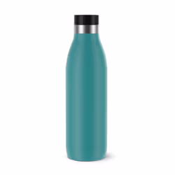 EMSA Bludrop Color N3111000, 700 ml, Utilisation quotidienne, Vert, Acier inoxydable, 12 h, 6 h