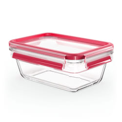 EMSA CLIP & CLOSE N1040800 boîte hermétique alimentaire Rectangulaire 0,85 L Transparent 1 pièce(s)