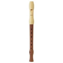 Hohner Alegra Embouchure terminale (oblique) Plastique, Bois Bois
