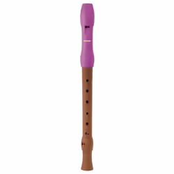 Hohner B95861, Embouchure terminale (oblique), Plastique, Bois, Rose, Bois