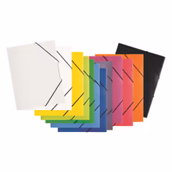 Pagna 21613-19 fichier Polypropylène (PP), Caoutchouc Transparent A4