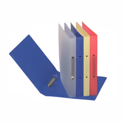 Pagna 20900-13 classeur à anneaux A4 Bleu