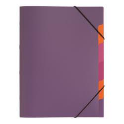 Pagna 41803-12 trieur Violet Polypropylène (PP) A4