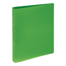 Pagna 20900-05 classeur à anneaux A4 Vert