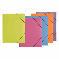 Pagna 21638-19 fichier Polypropylène (PP) Transparent A3
