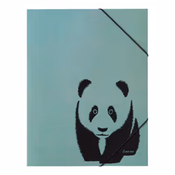 Pagna Save me, A4, Carton, Couleur menthe, Portrait, Elastique