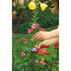 Sécateur de contournement Wolf Garten RR 1500 BASIC PLUS - Vue supplémentaire 5