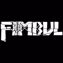 EuroVideo Medien Fimbul, PlayStation 4, Support physique