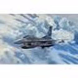 Revell F-16D Fighting Falcon, Pologne, Scale Model Engineering Objects, Consumer Unit ou UVC unité de vente consommateur tel  ...
