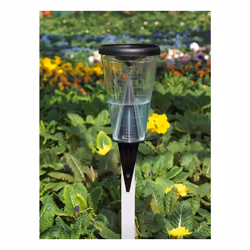 TFA-Dostmann 47.1008 pluviomètre Noir, Transparent
