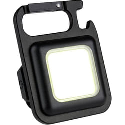 43.2040.01 cob Mini Arbeitsleuchte led Lampe de travail, Lampe de camping, Lampe porte-clés, Mini lampe de - Tfa Dostmann
