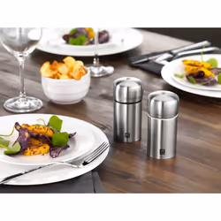 ZWILLING 39500-025-0 Moulin pour assaisonnement Ensemble de poivrière et salière Acier inoxydable
