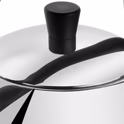ZWILLING 40995-001-0 bouilloire 1,6 L Noir, Acier inoxydable