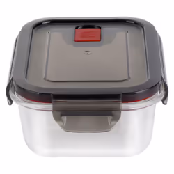 ZWILLING 39506-001, Boîte, Carré, 0,6 L, Transparent, Verre, Plastique, Plastique