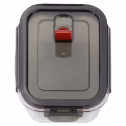 ZWILLING 39506-001 Carré Boîte 0,6 L Transparent 1 pièce(s)