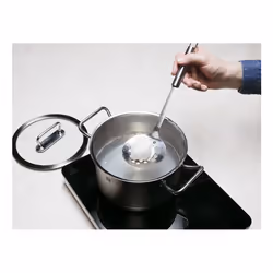 ZWILLING Pro louche Argent